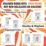 Decoding how Chained Birds made Amazon's "Hot New Releases" lists one month before pub day