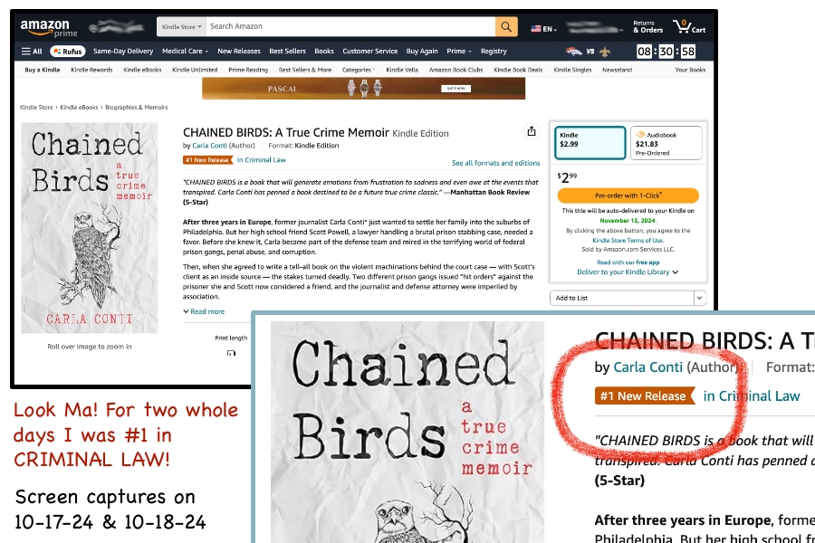 Update: For two whole days on 10-17-24 and 10-18-24 Chained Birds ranked #1 in Amazon's Hot New Releases Criminal Law category