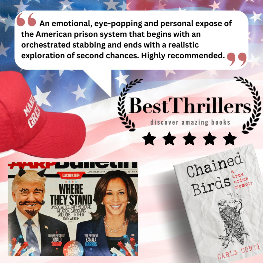 BestThrillers review hints at political backdrop of Chained Birds