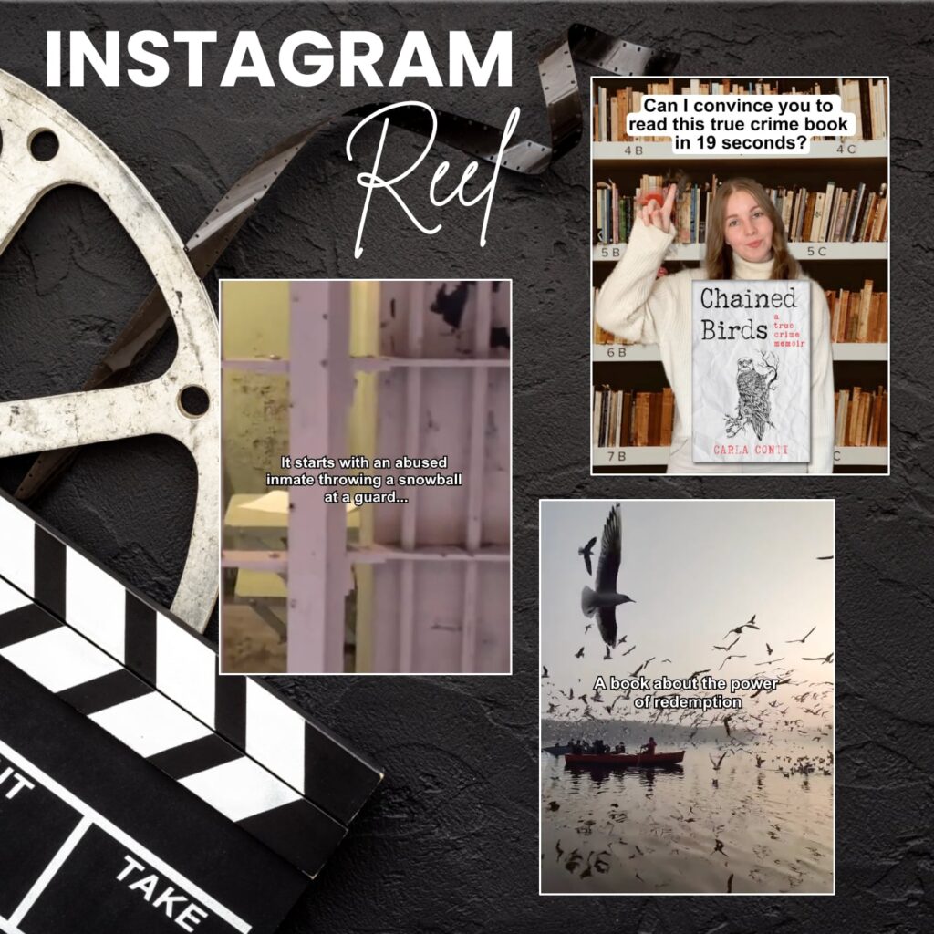 Instagram Reel for Chained Birds created for WildBlue Press by Kapp Co Digital