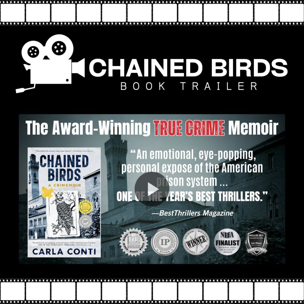 The CHAINED BIRDS book trailer that appeared at the Next Generation Indie Book Awards reception in Philadelphia June 27, 2025