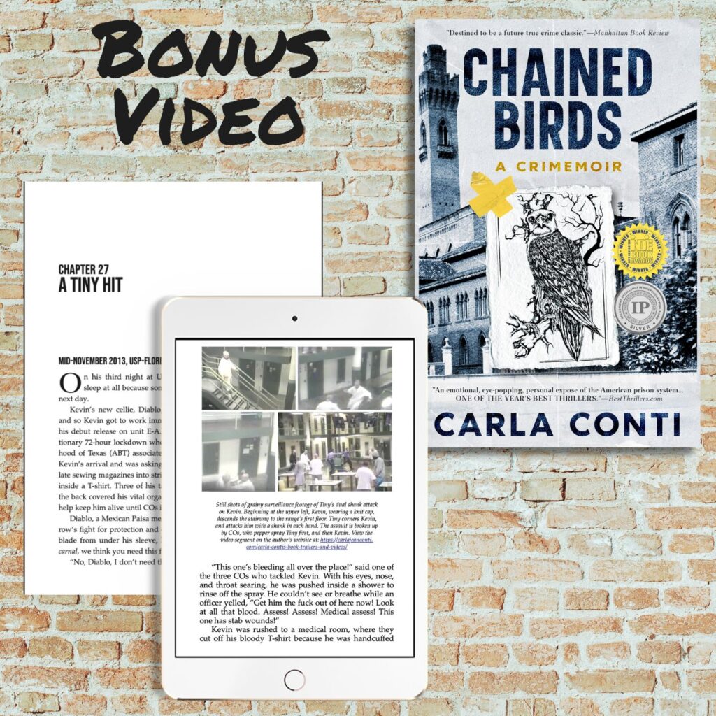 Another prison assault video from the true crime memoir Chained Birds by Carla Conti (viewer discretion advised)