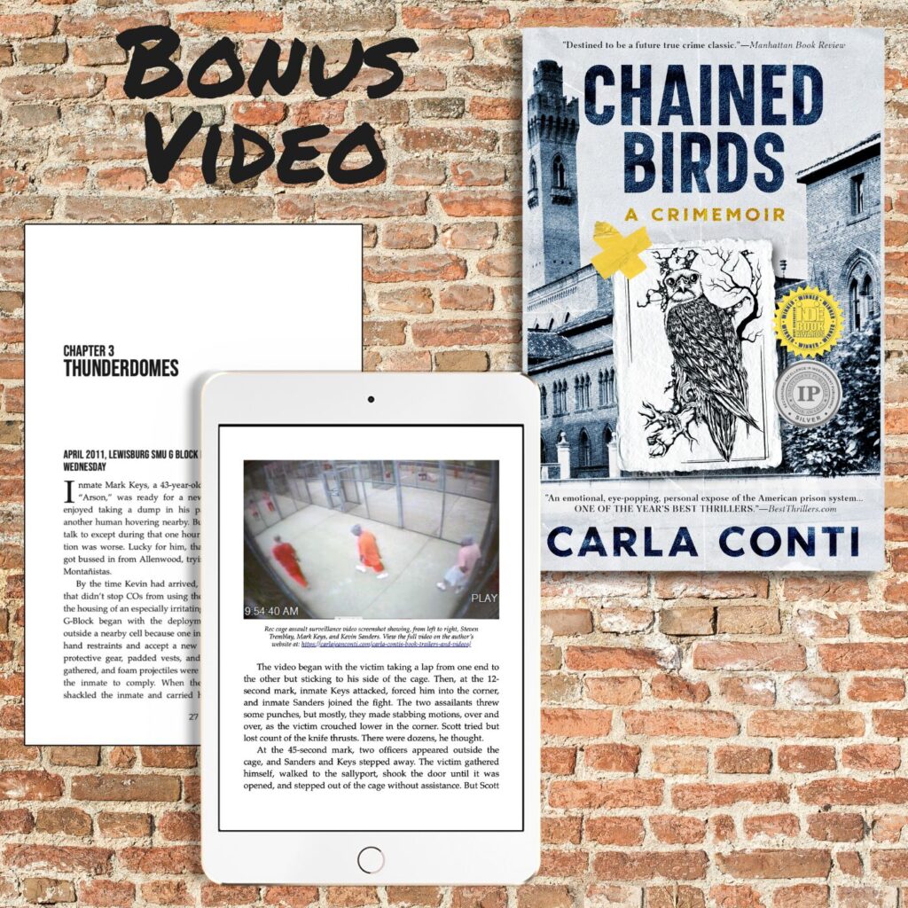 Watch the Lewisburg rec cage video behind the true crime memoir Chained Birds by Carla Conti (viewer discretion advised)