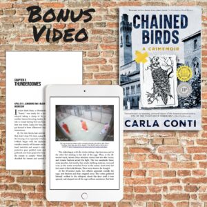 Watch the Lewisburg rec cage video behind the true crime memoir Chained Birds by Carla Conti (viewer discretion advised)