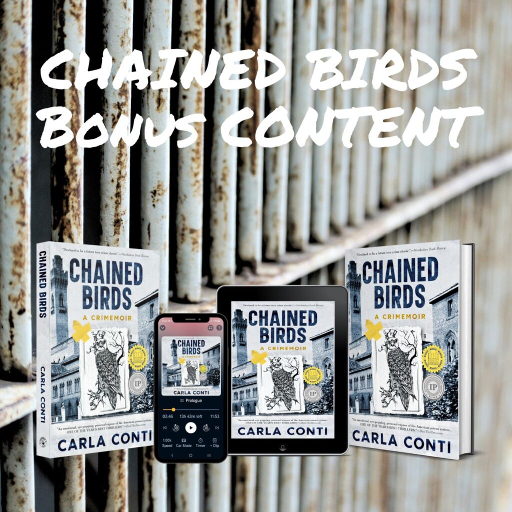 Check this page for additions of more Chained Birds bonus content, including stories, videos and more.