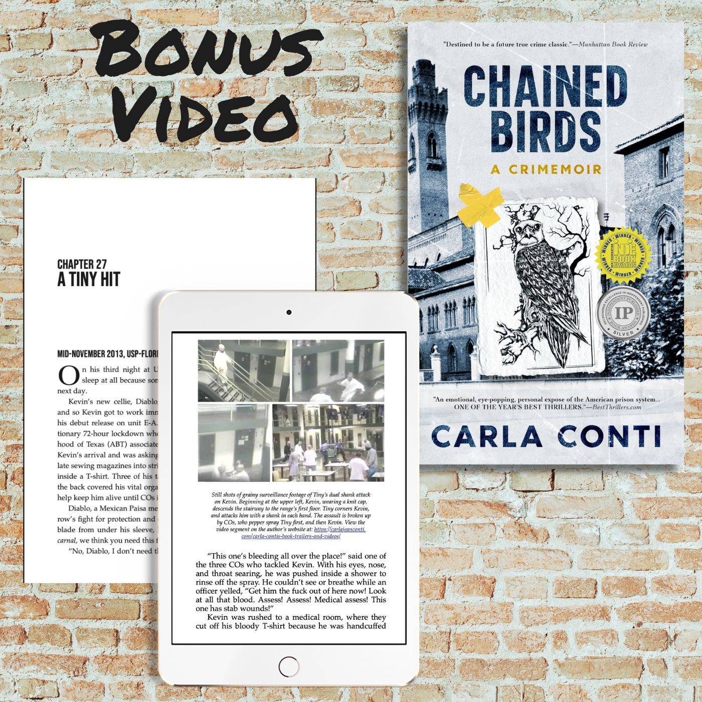 Another prison assault video from the true crime memoir Chained Birds by Carla Conti (viewer discretion advised)