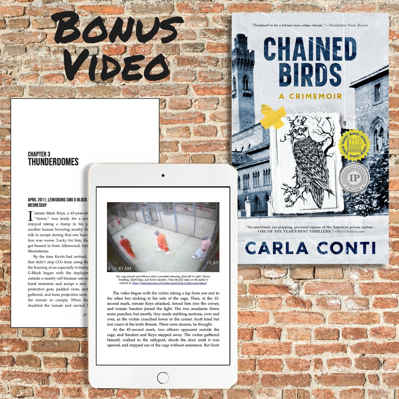 Watch the Lewisburg rec cage video behind the true crime memoir Chained Birds by Carla Conti (viewer discretion advised)