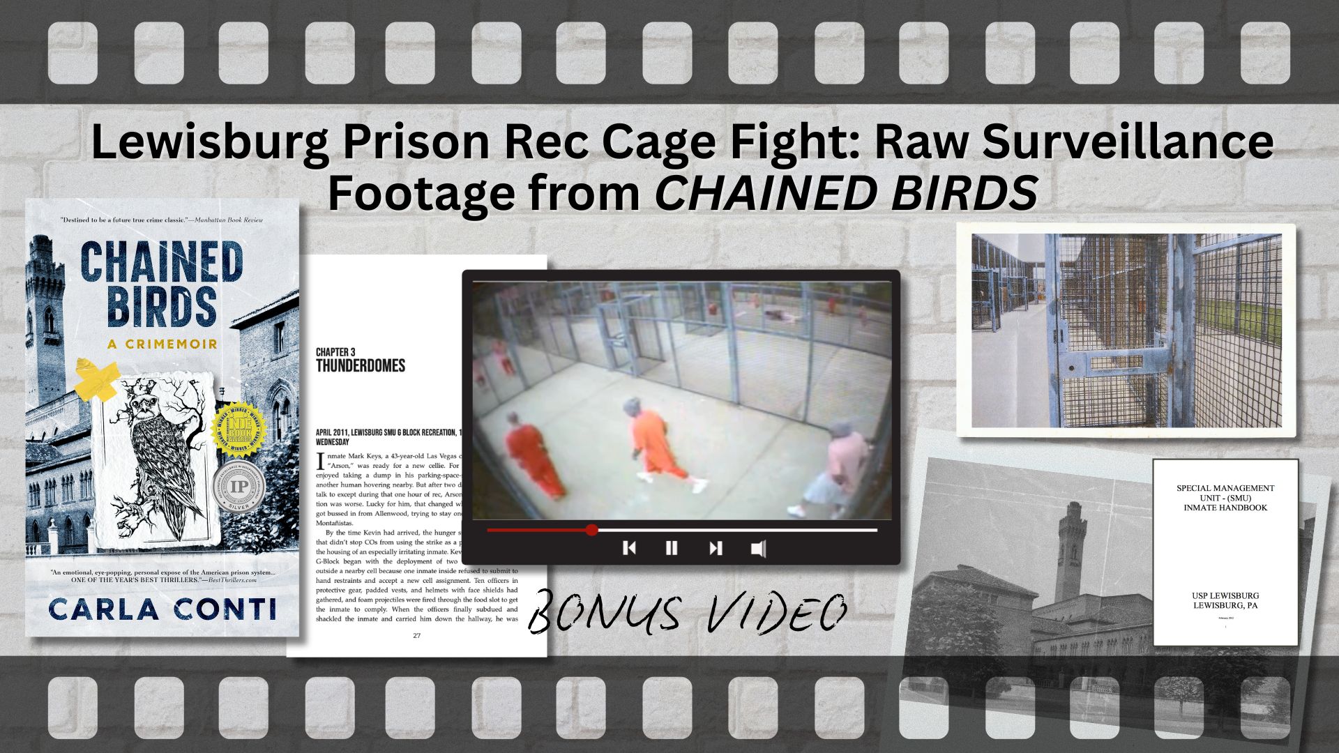 Watch the Lewisburg rec cage video behind the true crime memoir Chained Birds by Carla Conti (viewer discretion advised)