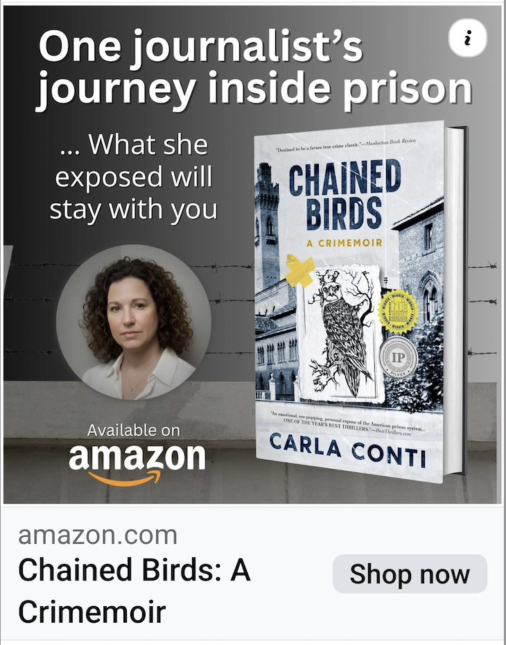 My Perplexity-assisted ad creative with a journalism hook