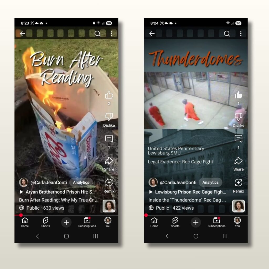 Dec. 21, 2025 update: My short (vertical) videos are gaining traction with hundreds of more views, and will hopefully be a gateway for folks to find my other content.