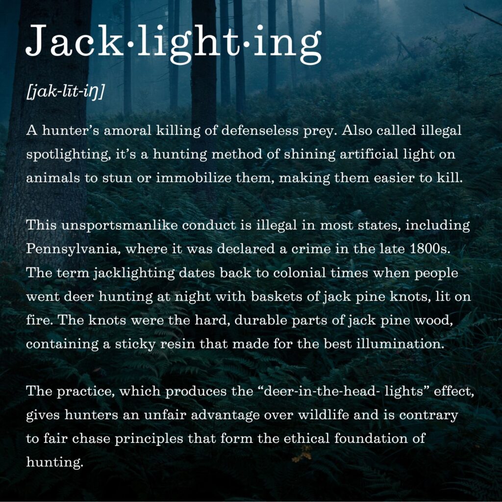 The definition of Jacklighting includes: A hunter’s amoral killing of defenseless prey. Also called illegal spotlighting, it’s a hunting method of shining artificial light on animals to stun or immobilize them, making them easier to kill.