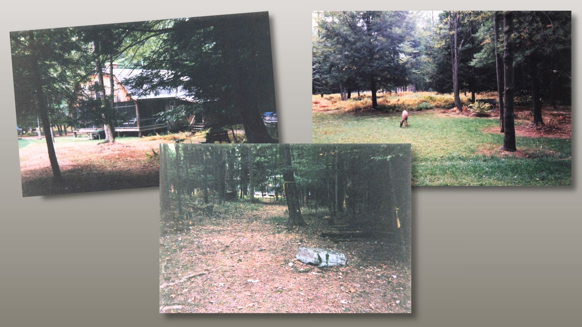 Gunsmoke: family hunting camp of Martin Dillon and site of his 1976 "accidental shooting" death by Dr. Stephen Scher during an afternoon of skeet shooting