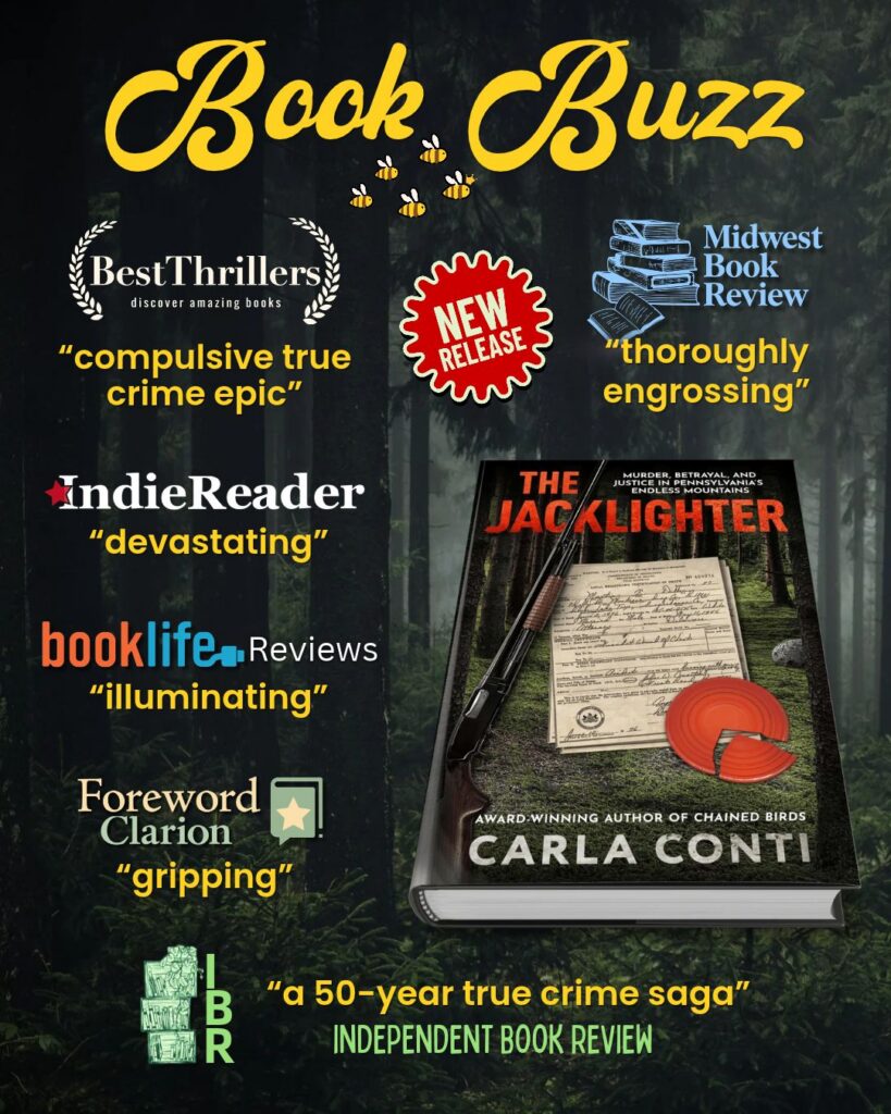 Six Editorial Reviews In: The Jacklighter Review Roundup